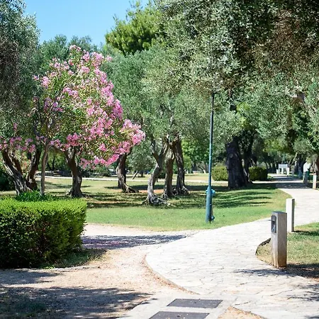 Lejlighed Mali Stradun